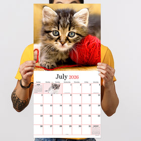 2026 Kittens Wall Calendar - 0