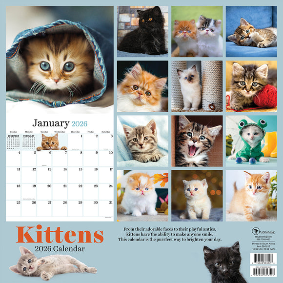 2026 Kittens Wall Calendar