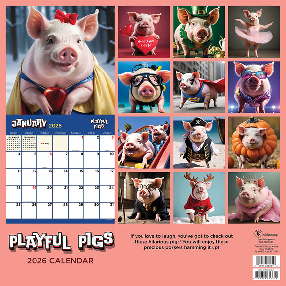 2026 Playful Pigs Wall Calendar