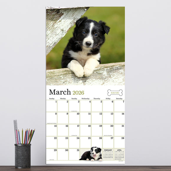 2026 Puppies Wall Calendar