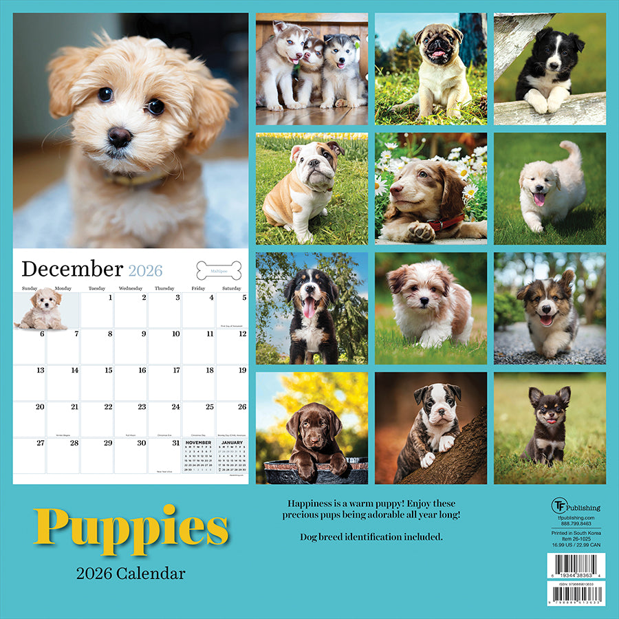 2026 Puppies Wall Calendar