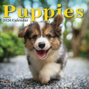 2026 Puppies Wall Calendar-1