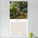 2026 Trees Wall Calendar-4