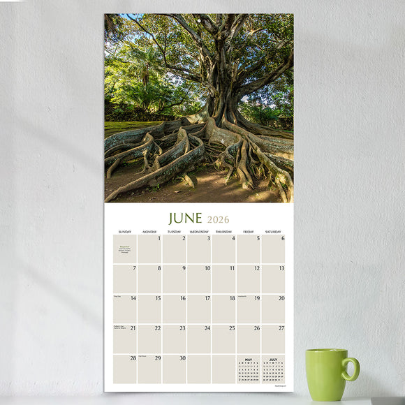 2026 Trees Wall Calendar