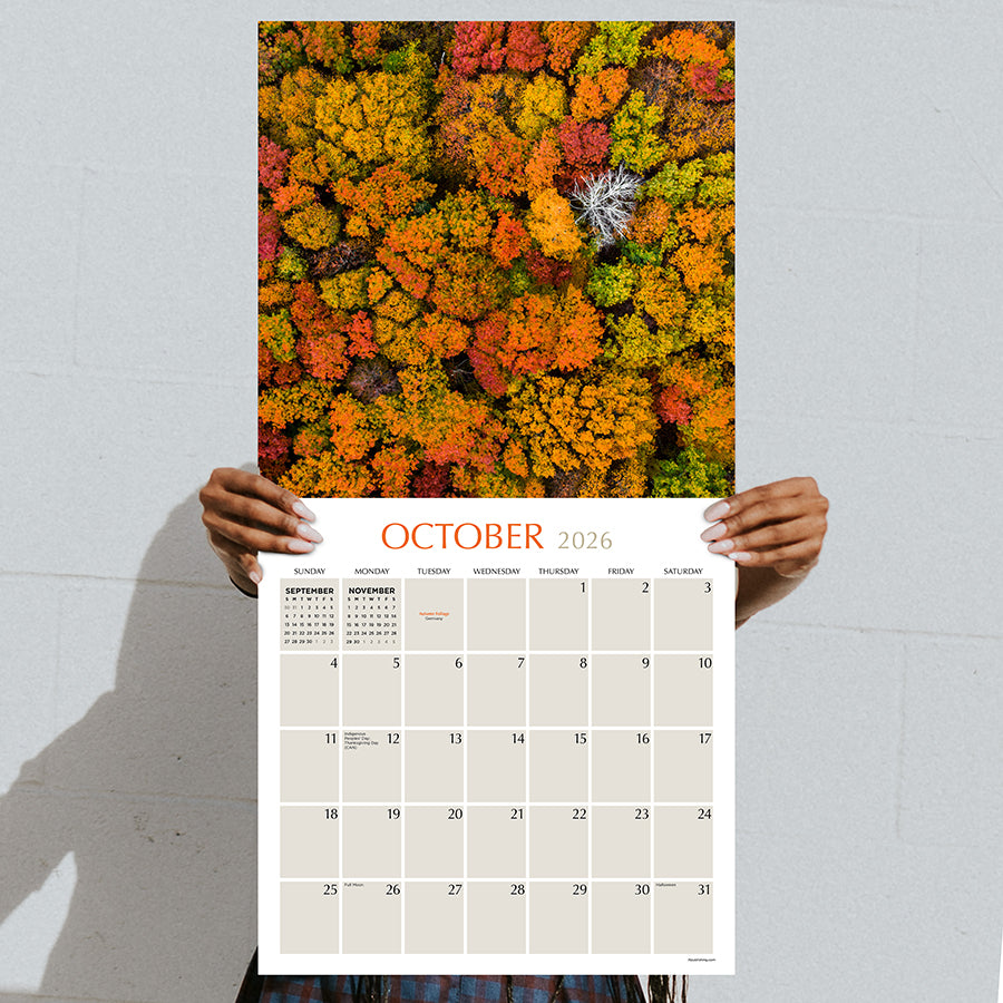 2026 Trees Wall Calendar | TF Publishing | Calendars + Planners ...