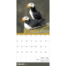 2026 Wild Wall Calendar-3