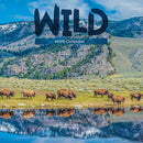 2026 Wild Wall Calendar-1