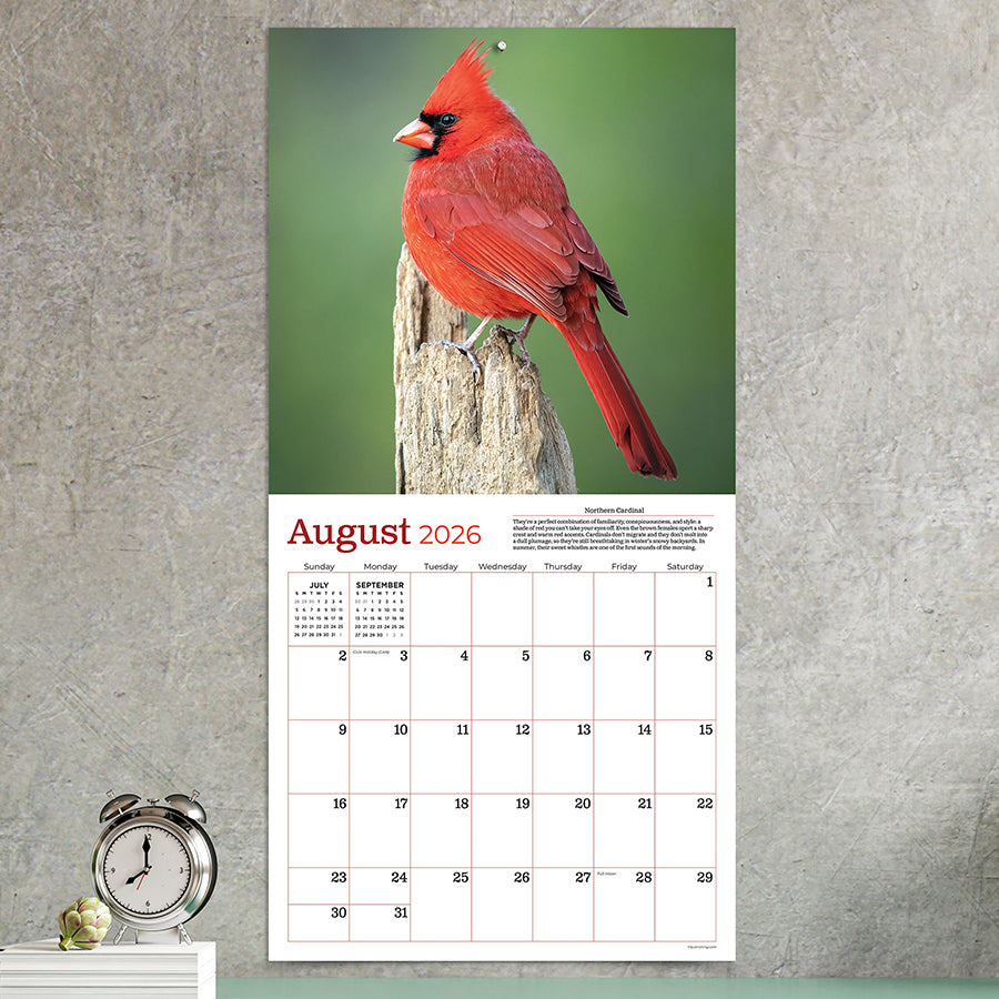 2026 Backyard Birds Wall Calendar