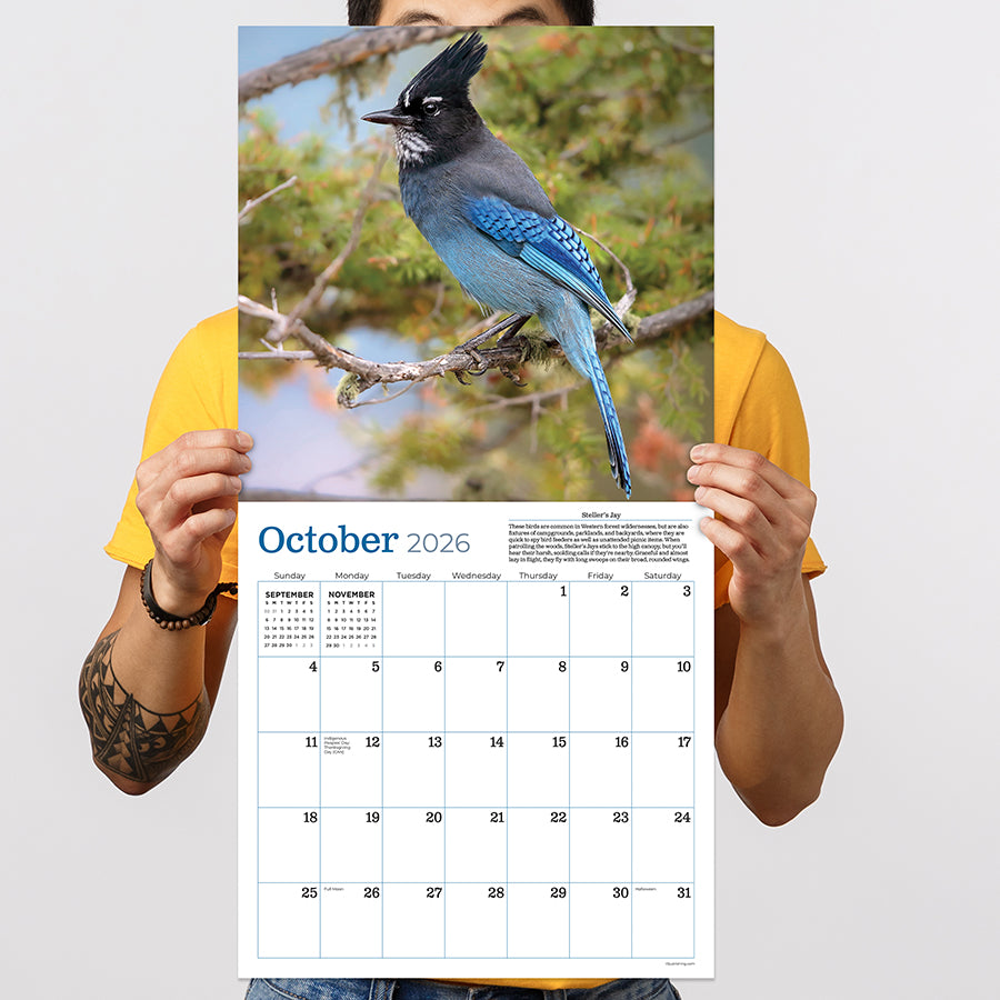 2026 Backyard Birds Wall Calendar - 0