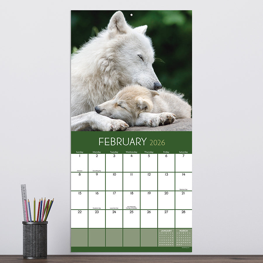 2026 Wolves Wall Calendar