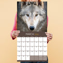 2026 Wolves Wall Calendar-2