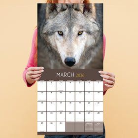 2026 Wolves Wall Calendar - 0