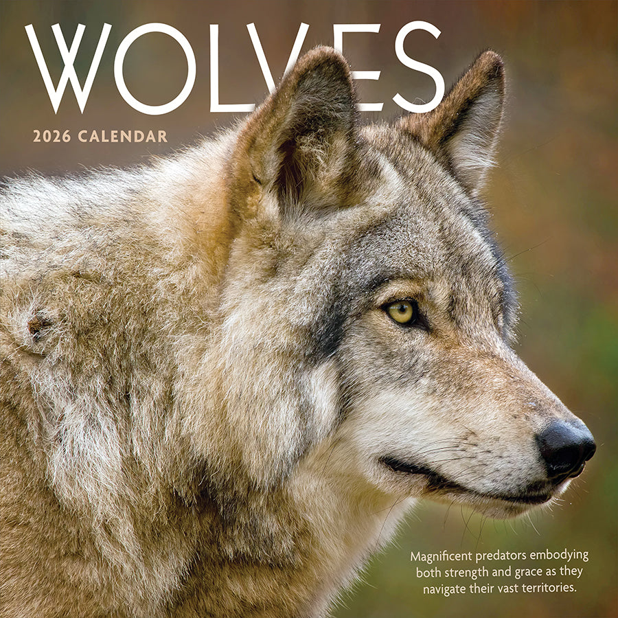 2026 Wolves Wall Calendar
