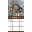 2026 Owls Wall Calendar-3