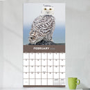 2026 Owls Wall Calendar-4