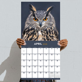 2026 Owls Wall Calendar - 0