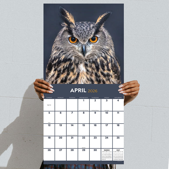 2026 Owls Wall Calendar