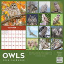 2026 Owls Wall Calendar-5
