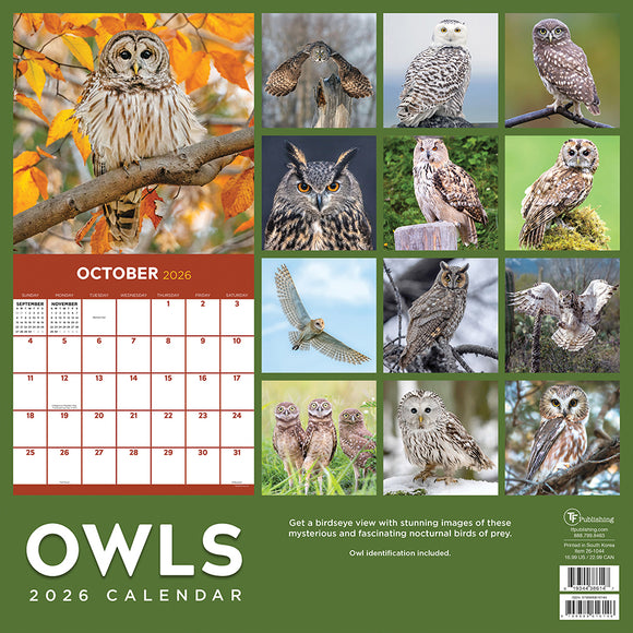 2026 Owls Wall Calendar