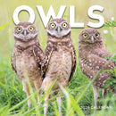 2026 Owls Wall Calendar-1
