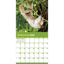 2026 Sloths Wall Calendar-3