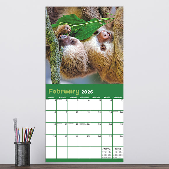 2026 Sloths Wall Calendar