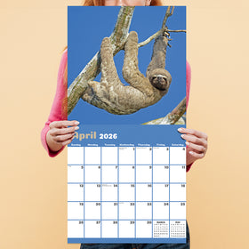 2026 Sloths Wall Calendar - 0