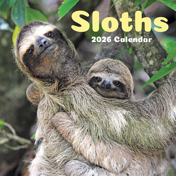 2026 Sloths Wall Calendar
