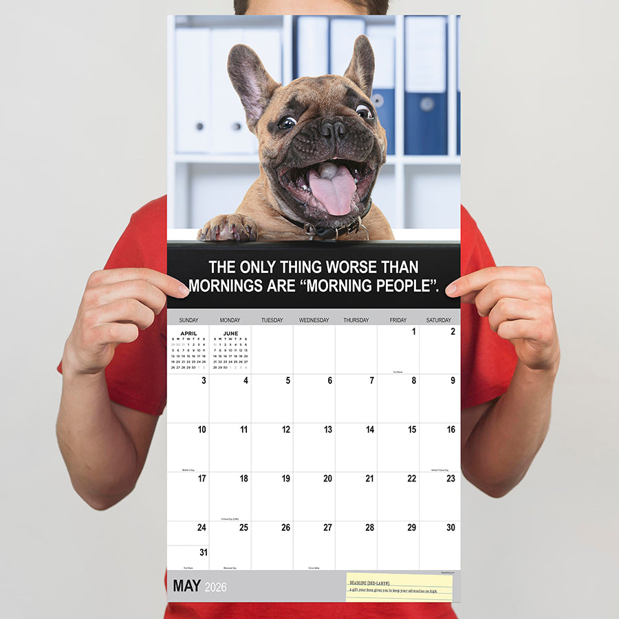 2026 Desk Dogs Wall Calendar - 0