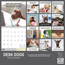 2026 Desk Dogs Wall Calendar-5