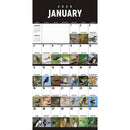 2026 Birds: Backyard and Beyond Wall Calendar-3