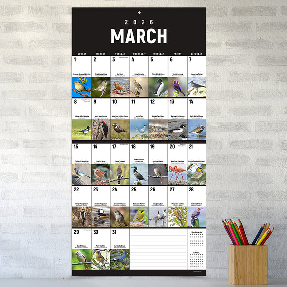 2026 Birds: Backyard and Beyond Wall Calendar