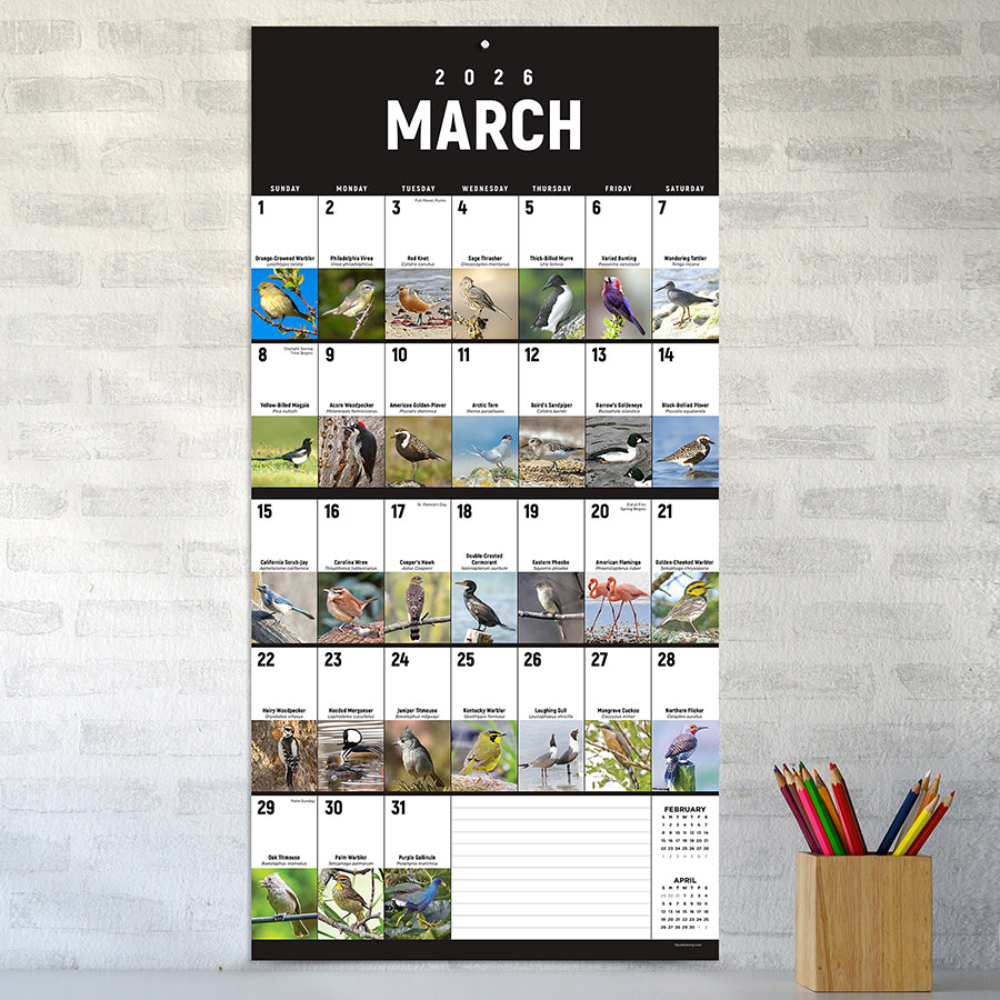 2026 Birds: Backyard and Beyond Wall Calendar