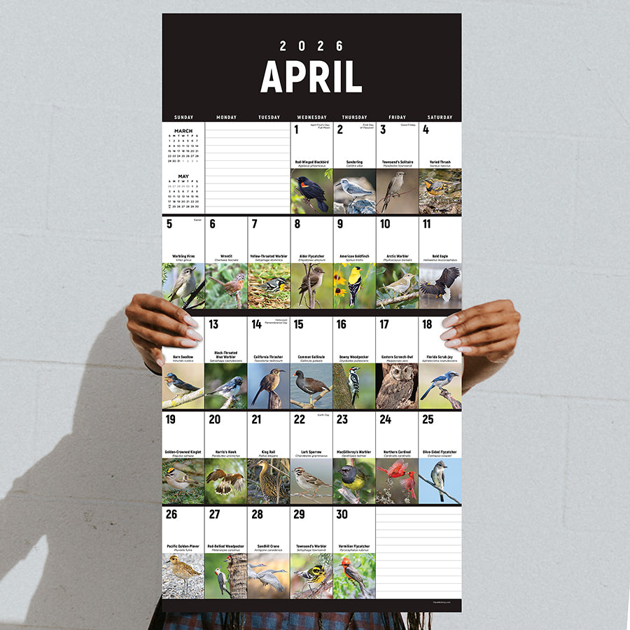 2026 Birds: Backyard and Beyond Wall Calendar - 0