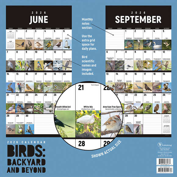 2026 Birds: Backyard and Beyond Wall Calendar