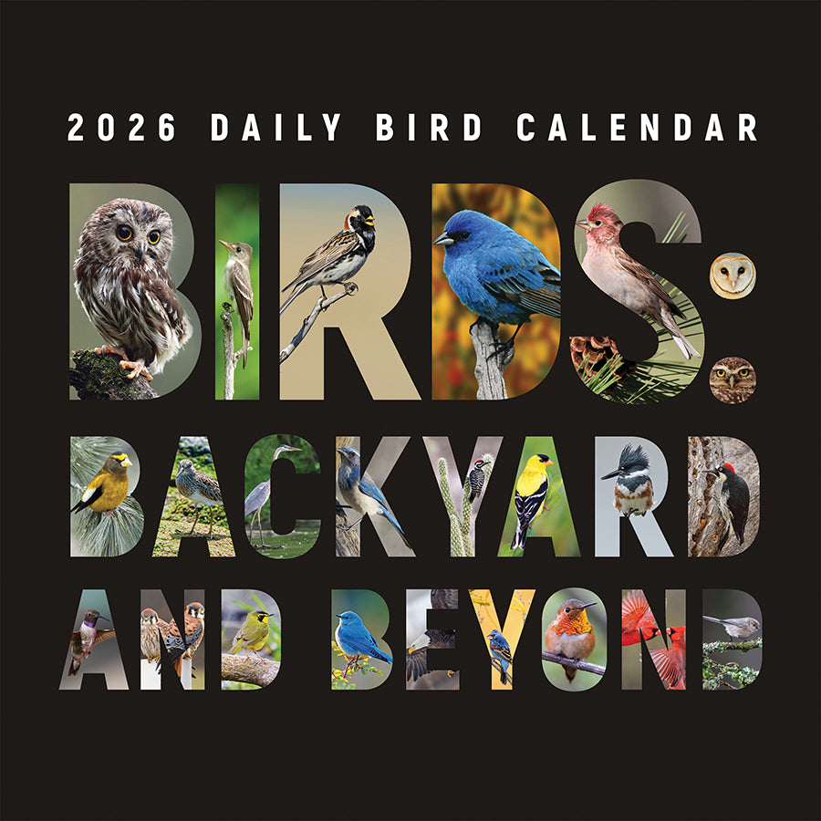 2026 Birds: Backyard and Beyond Wall Calendar