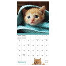 2026 Kittens Mini Calendar-3