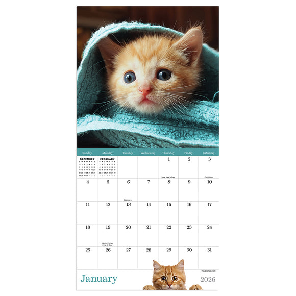 2026 Kittens Mini Calendar