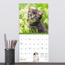 2026 Kittens Mini Calendar-4