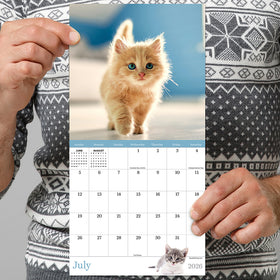 2026 Kittens Mini Calendar - 0