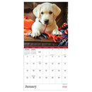 2026 Puppies Mini Calendar-3