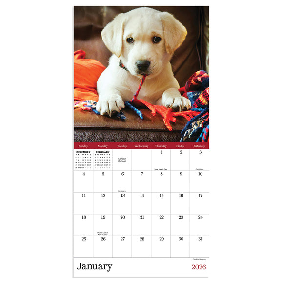 2026 Puppies Mini Calendar