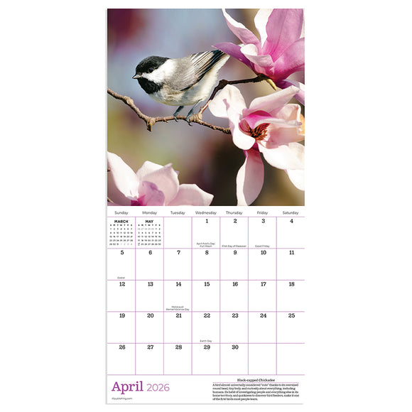 2026 Backyard Birds Mini Calendar