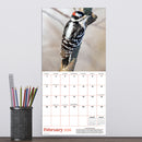 2026 Backyard Birds Mini Calendar-4