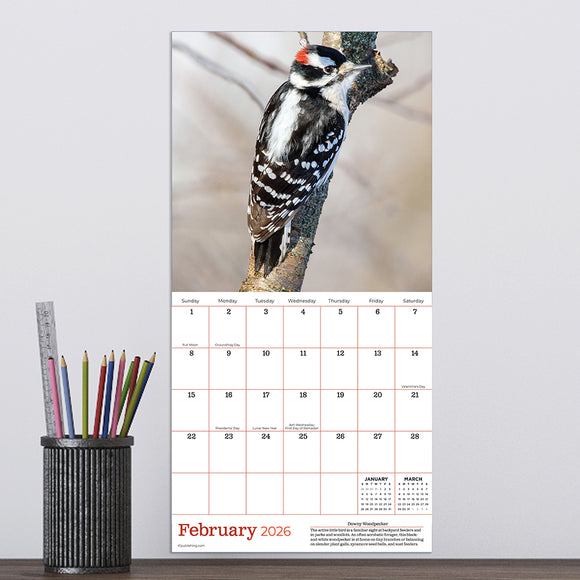2026 Backyard Birds Mini Calendar