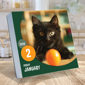 2026 Cat A Day Daily Desktop Calendar - 0
