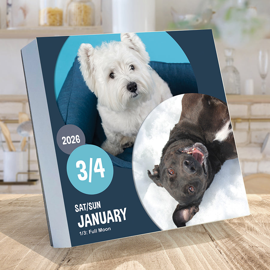 2026 Dog A Day Daily Desktop Calendar - 0