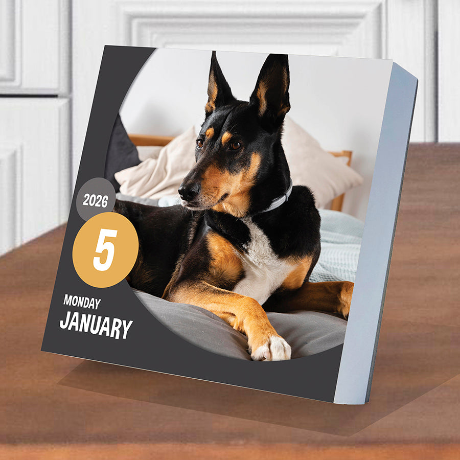 2026 Dog A Day Daily Desktop Calendar