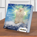 2026 Shoebox Daily Desktop Calendar-3