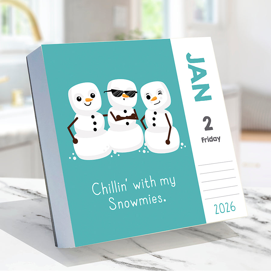 2026 Puns of Fun Daily Desktop Calendar - 0